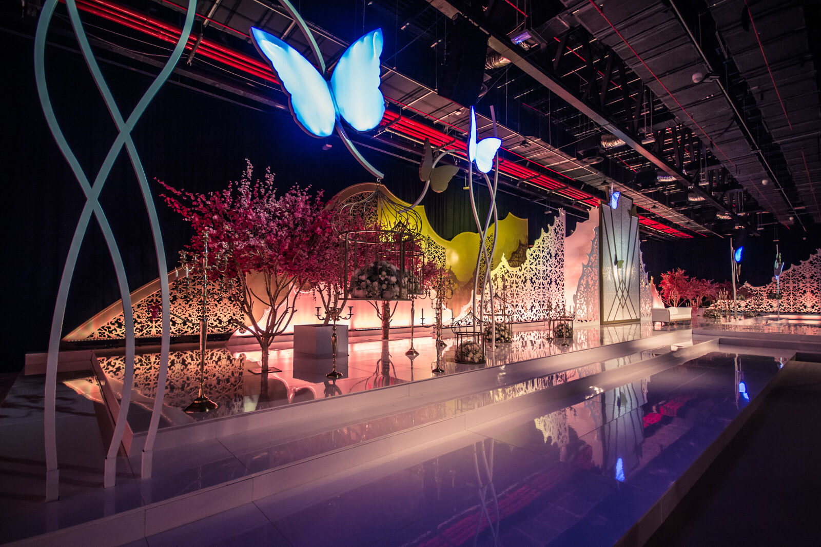 Royal Wedding — A magical experience on an epic scale